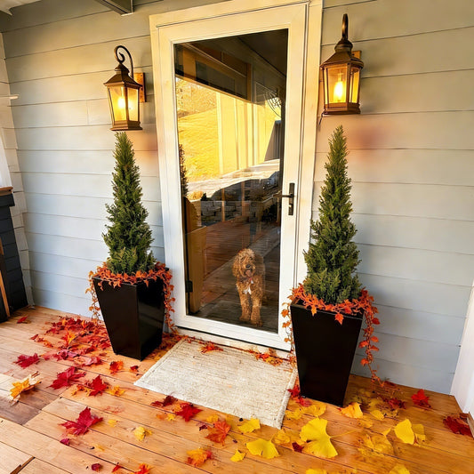 Winter Outdoor Planting Guide for Beginners