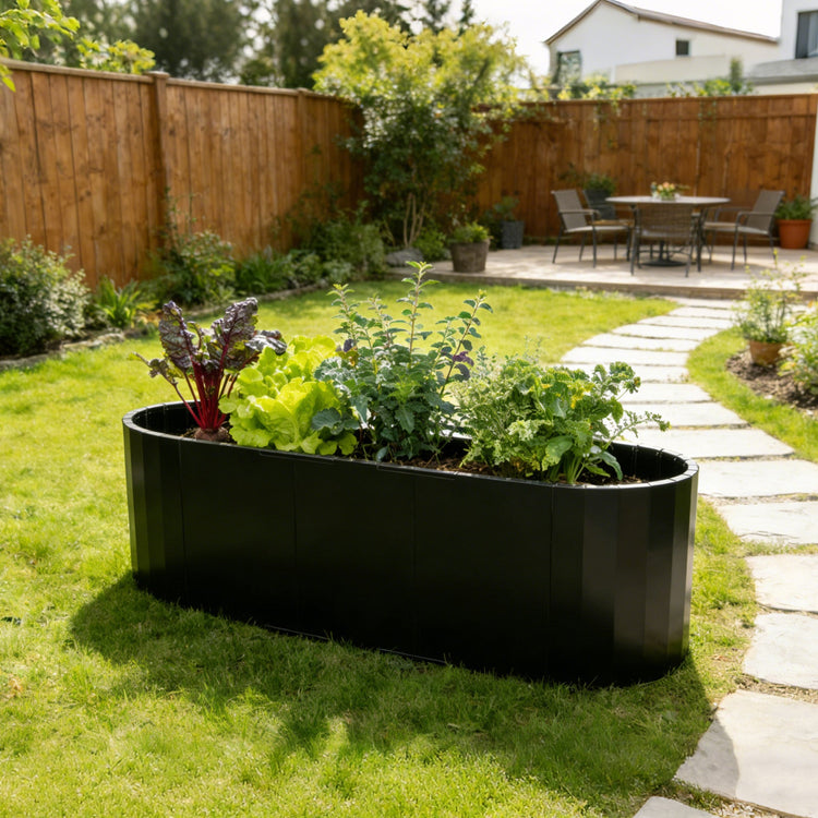 Raised Garden Beds