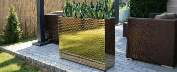 A CYC Mirrored rectangular outdoor planter with a reflective gold metallic honeycomb finish, filled with green snake plants