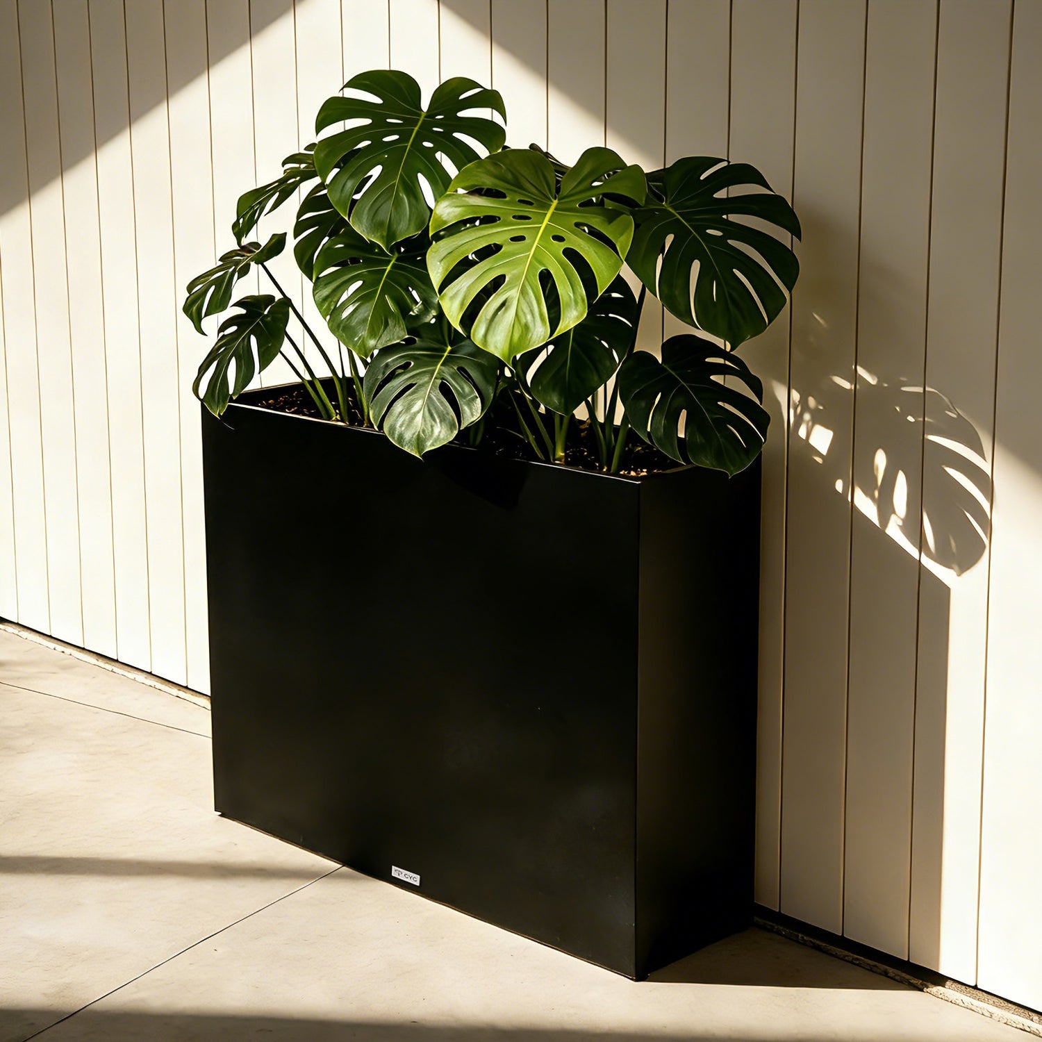 Black_rectangular_aluminum-magnesium-zinc_planting_boxes_against_the_wall
