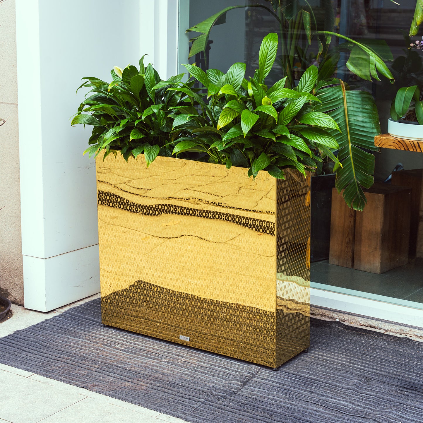 Decorative_large_rectangular_mirrored_golden_planter_pots_with_green_plants