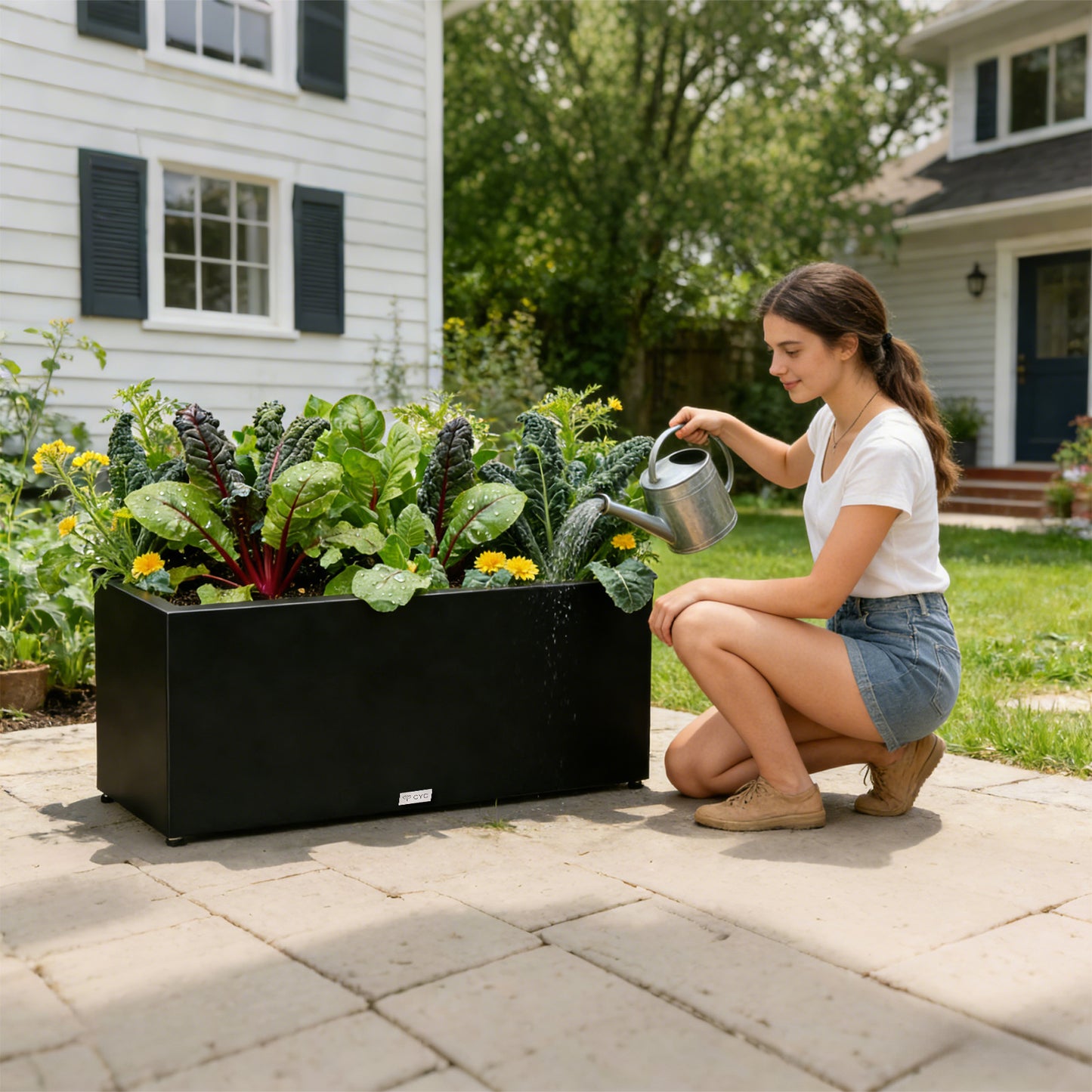 Large_Mg-Al-Zn_light_long_rectangular_planter_for_growing_vegetables_in_garden