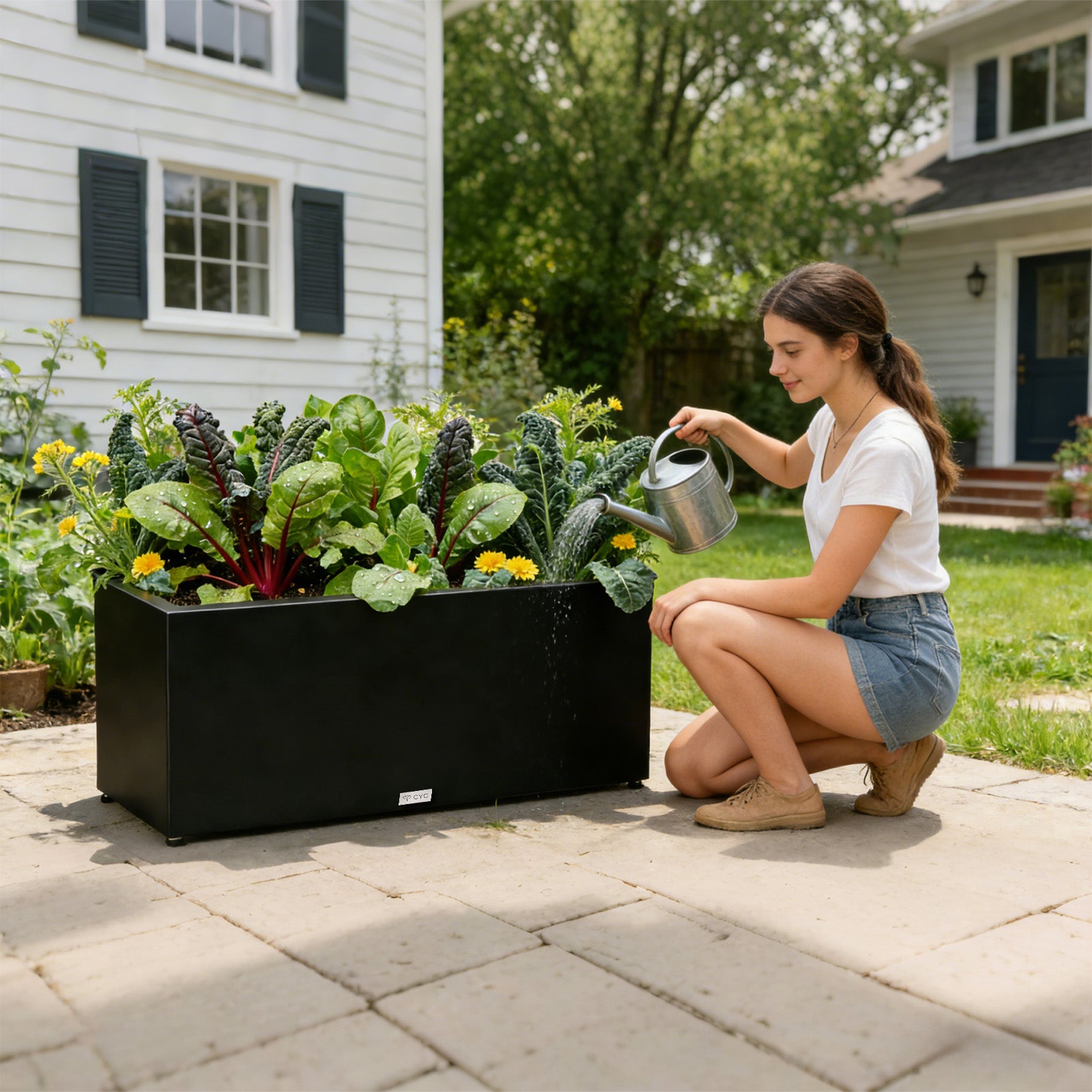 Large_Mg-Al-Zn_light_long_rectangular_planter_for_growing_vegetables_in_garden