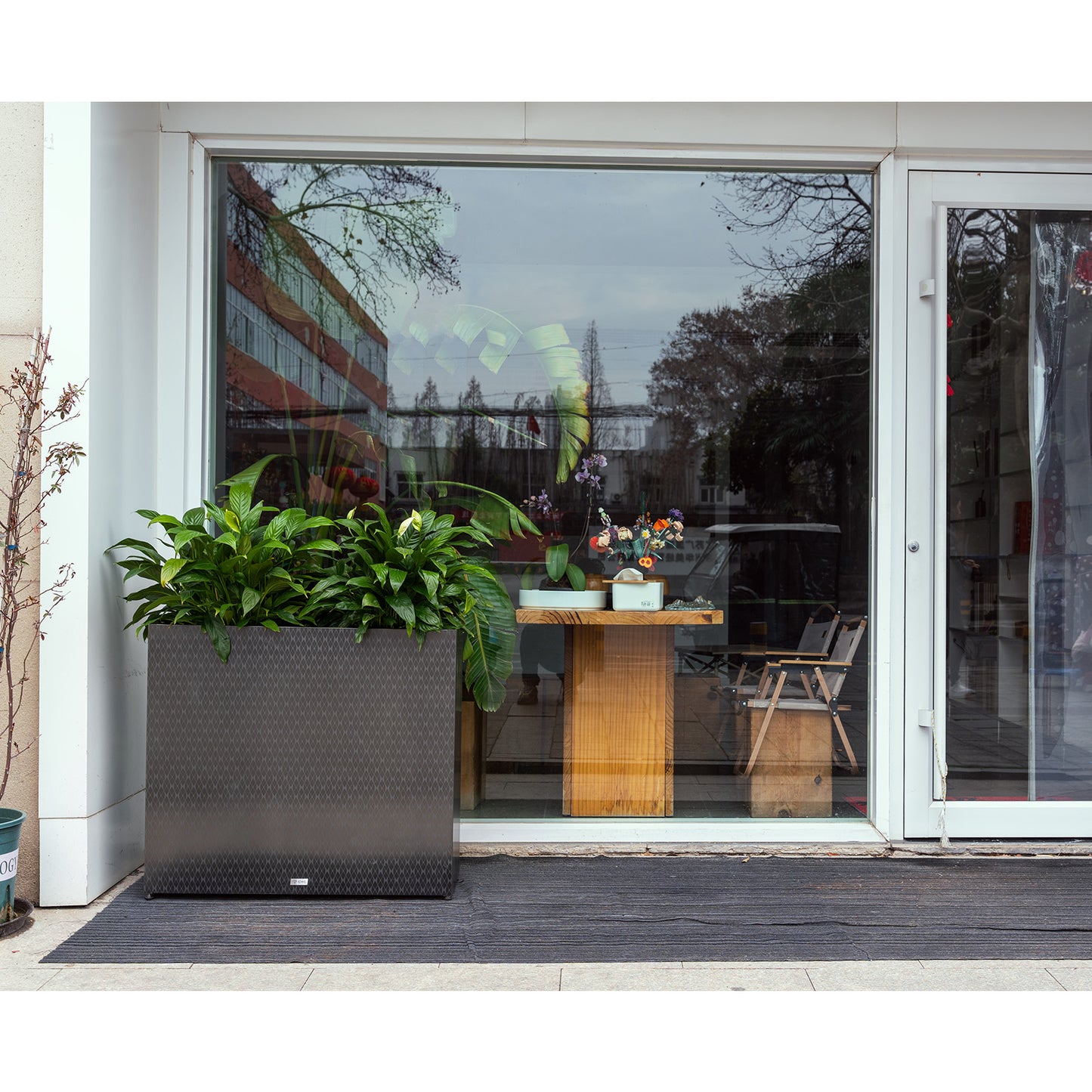 Large_rectangular_mirrored_black_planter_for_storefront_entrance