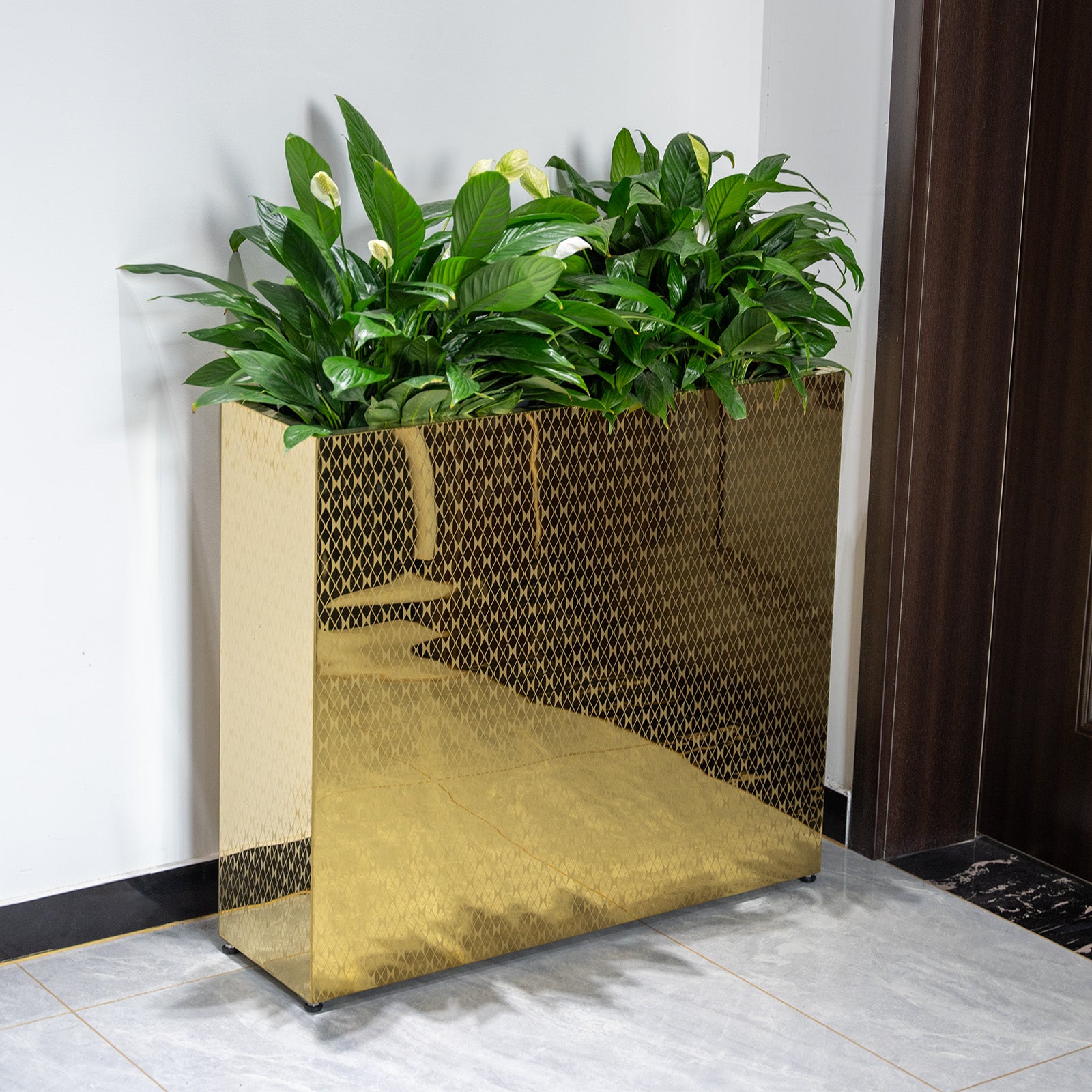 Large_rectangular_mirrored_golden_planter_pots_for_entryway