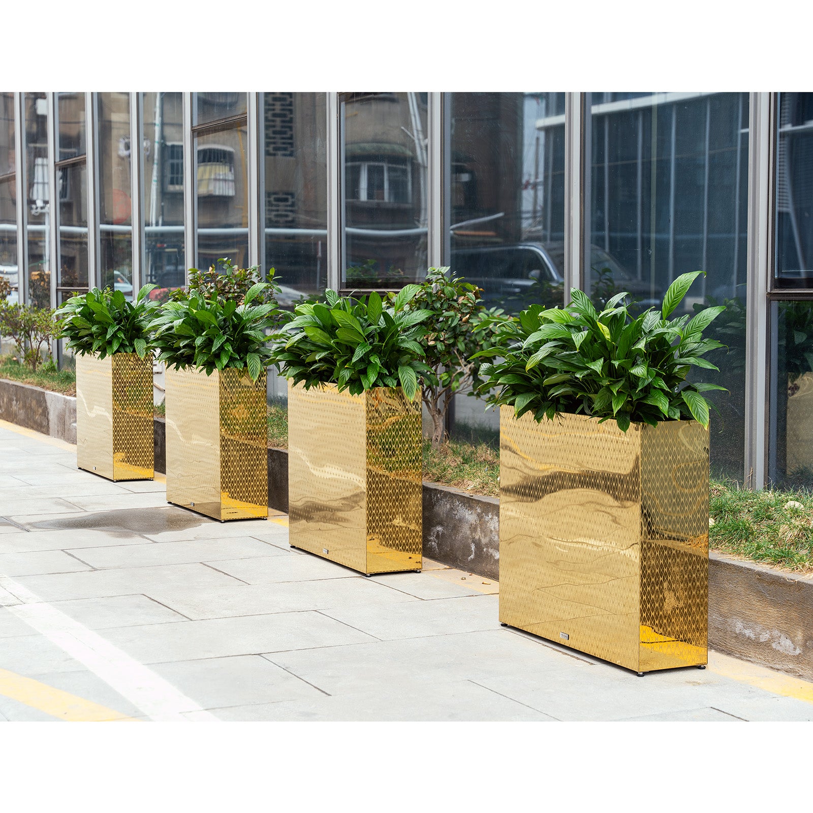 Large_rectangular_mirrored_golden_planter_pots_on_a_city_street