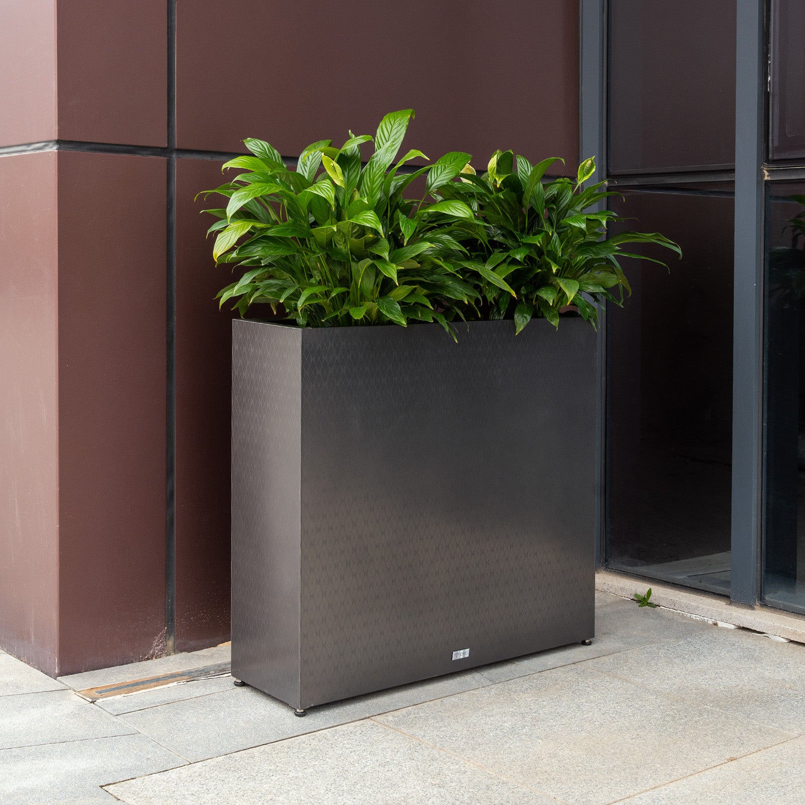 large_rectangular_mirrored_black_planter_beside_exterior_wall